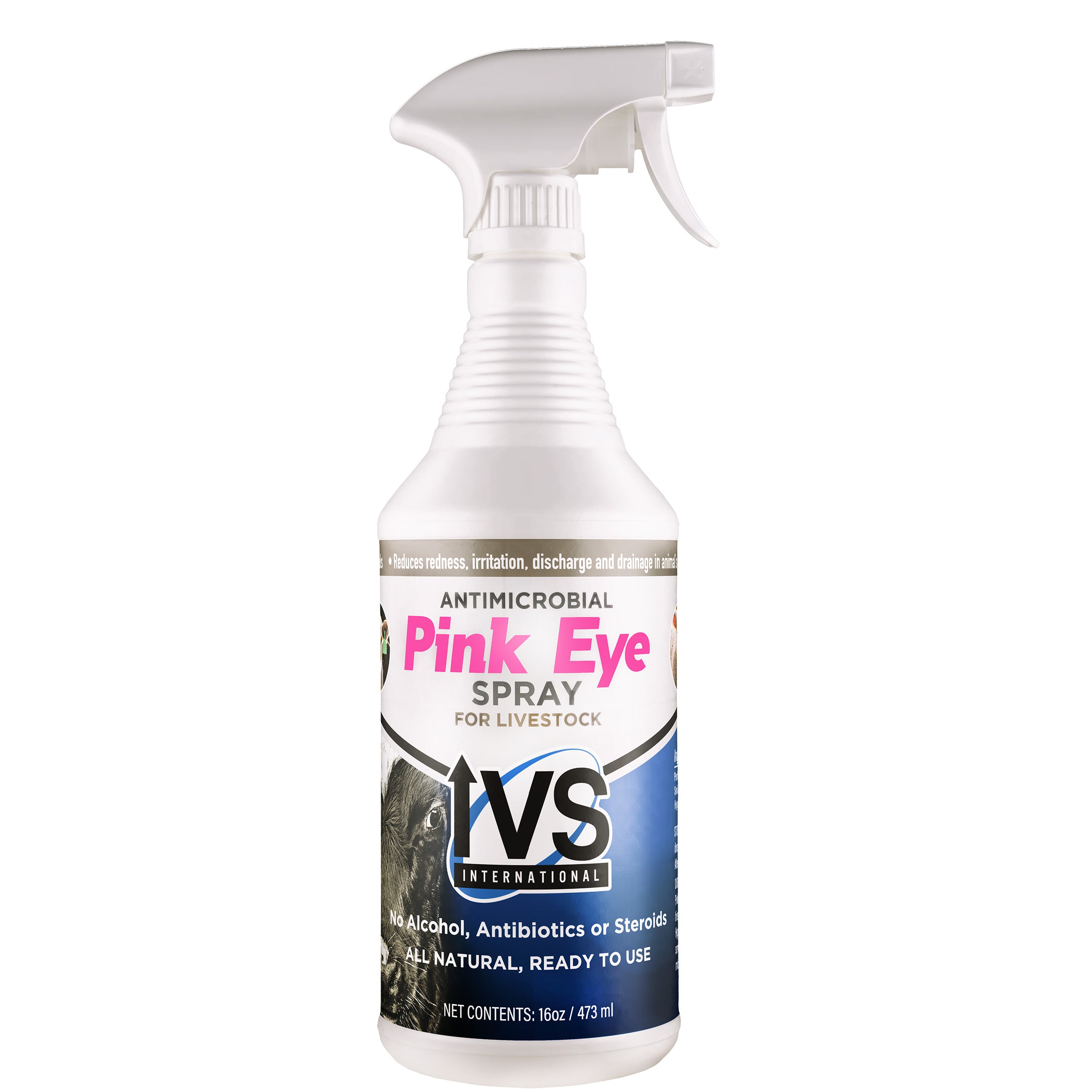 IVS Spray pour la conjonctivite - 16 oz